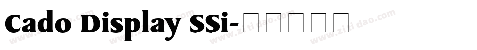 Cado Display SSi字体转换